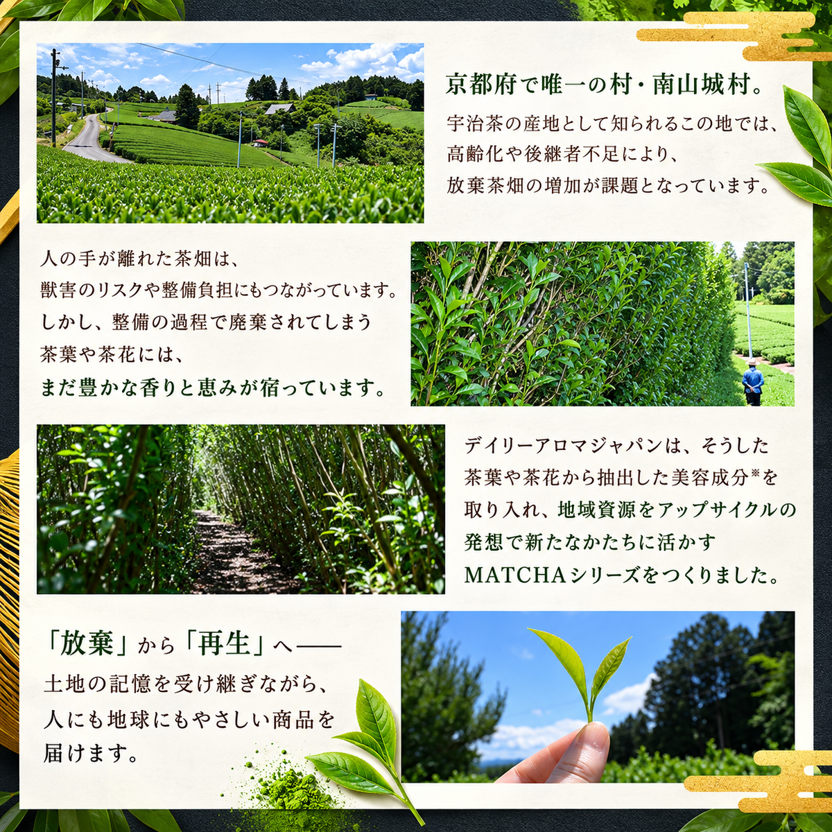 Daily Aroma 宇治抹茶护手霜｜优雅清新宇治抹茶香