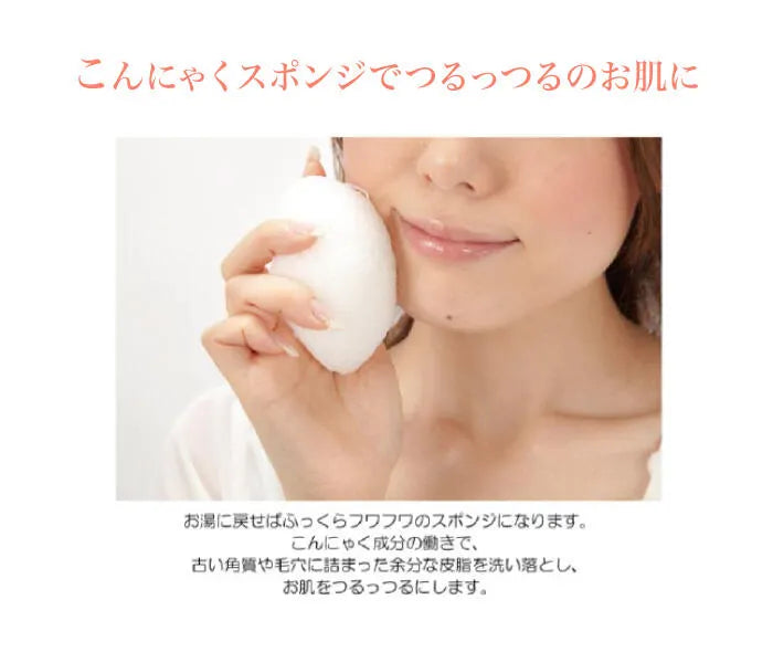 こんにゃくパフ『和の力』つばき